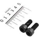 【メーカー在庫あり】 ポッシュ POSH キャップボルトセット 汎用 M8x20mm ステンレス 2本入り 黒 900820-K2 HD店