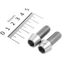 【メーカー在庫あり】 ポッシュ POSH テーパーキャップボルトセット 汎用 M10x25mm P1.50 ステンレス 2本入り 901025-T2 HD店