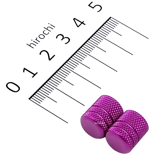 【メーカー在庫あり】 ポッシュ POSH エアーバルブキャップ アルミ 2個入り ブルーベリー 000801-05 HD店