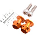 アクティブ ACTIVE アルミファッションフック M10×35mm ゴールド 2個入り 1992009 HD店