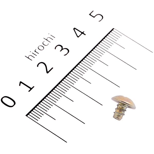 【メーカー在庫あり】 ホンダ純正 スクリュー タッピング 4X6 93903-24010 HD店