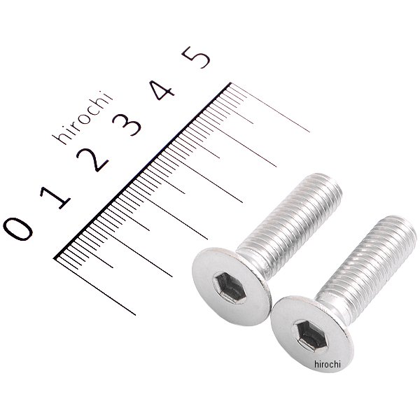 【メーカー在庫あり】 キタコ 皿キャップボルト 8X30 ステンレス 2個入り 0900-080-30004 HD店