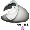 エナジープライス フロントフェンダー スクーピー AF55 アクアピンクメタリック R-267M HD店