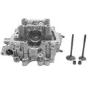 【メーカー在庫あり】 SP武川 シリンダーヘッドセット PCX(JF28) 01-03-0021 HD店