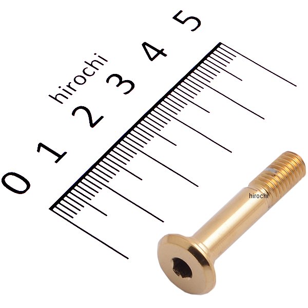 ゲイルスピード GALE SPEED ピボットピン チタンゴールドコーティング ゴールド 29000121 HD店