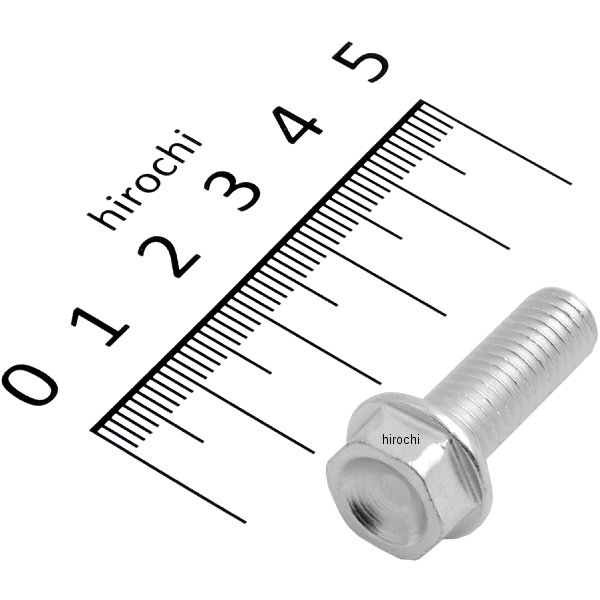 アクラポビッチ AKRAPOVIC サイレンサー取付ボルト 11年以降 ドゥカティ モンスター696 P-FB10 HD店