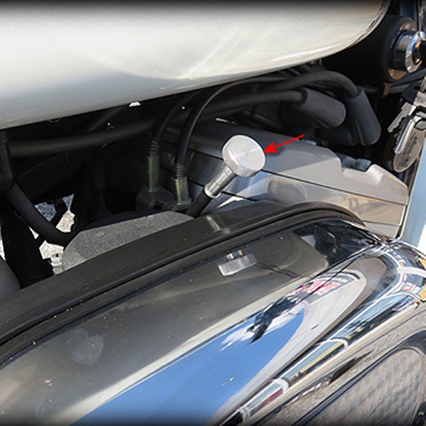 �ڥ᡼�����߸ˤ���� �ͥ��ե����ȥ꡼ ���硼�ȥ����� �������������ɥ륹����塼 CV������� 018044 HDŹ