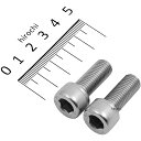 【メーカー在庫あり】 デイトナ キャリパーマウントボルトM10×25P1.2 48008 HD店