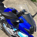 130011 アクリポイント ACRY-POINT スクリーン ストリート GSX250R クリア 4580423291545 HD店