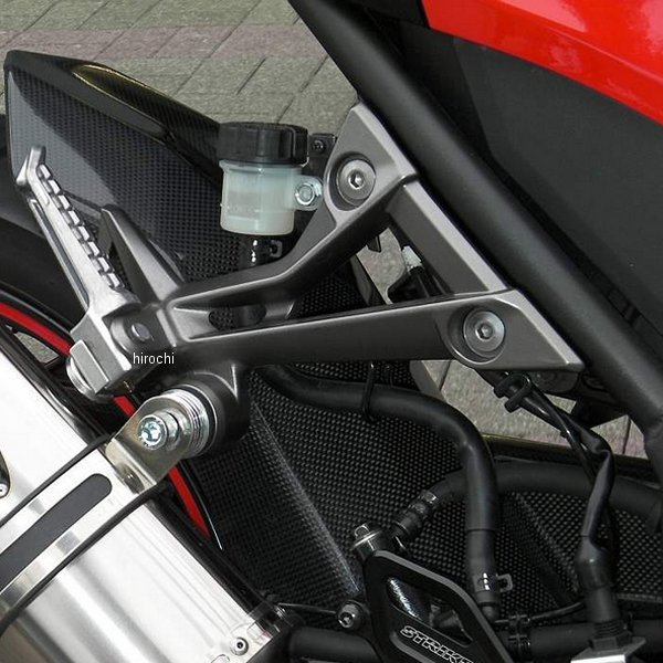 ストライカー STRIKER リアフェンダー ノーマルスイングアーム用 13年以降 ニンジャ250、ニンジャ250ABS カーボン SAD-RF117C-A HD店