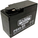 プロセレクト PROSELECT バイク用 バッテリー PS4A-BS YTR4A-BS互換 (液入充電済) 10個入り PSB039 HD店