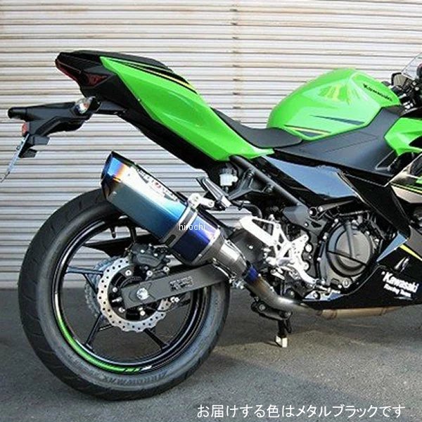 BEET ビート NASSERT(ナサート) Evolution TypeII フル