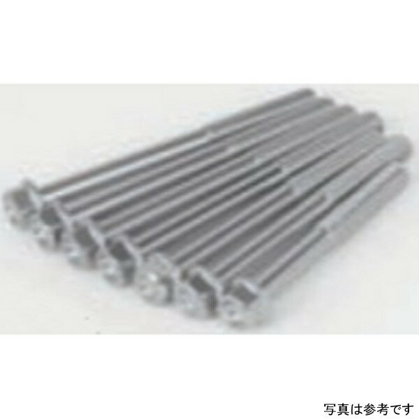 SP武川 アルミ ボルト クランクケースヨウ (シルバー) 00-06-1183 HD店