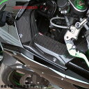 スピードラ SPEEDRA インナーサイドパネル 左右セット 15年以降 NINJA H2 綾織艶あり CKA0710TG HD店