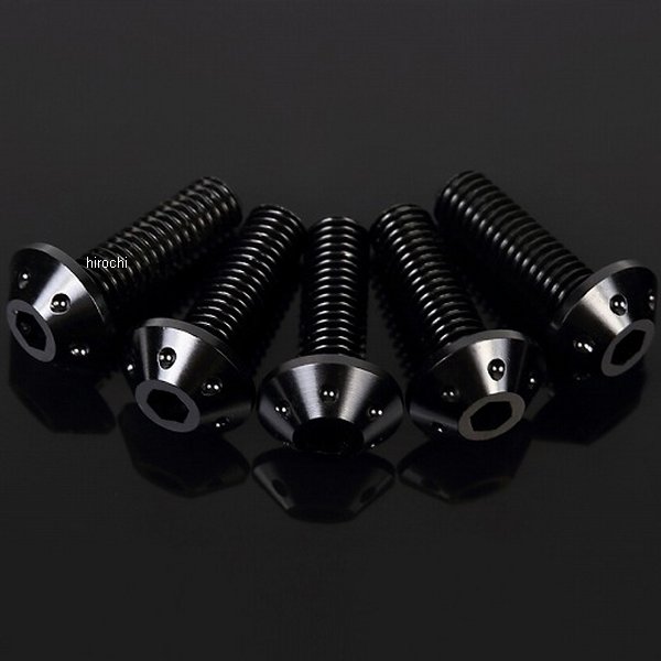 【メーカー在庫あり】 スピードラ SPEEDRA スクリーンボルト ウェルナット 6個セット 黒 ASB0206BK HD店