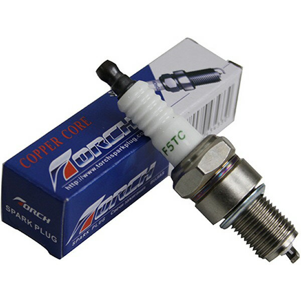 �ȡ��� TORCH ��1������F5TC(BP5ES�ߴ�) F5TC HDŹ