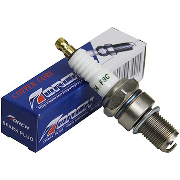 �ȡ��� TORCH ��1������F8C(B8ES�ߴ�) F8C HDŹ