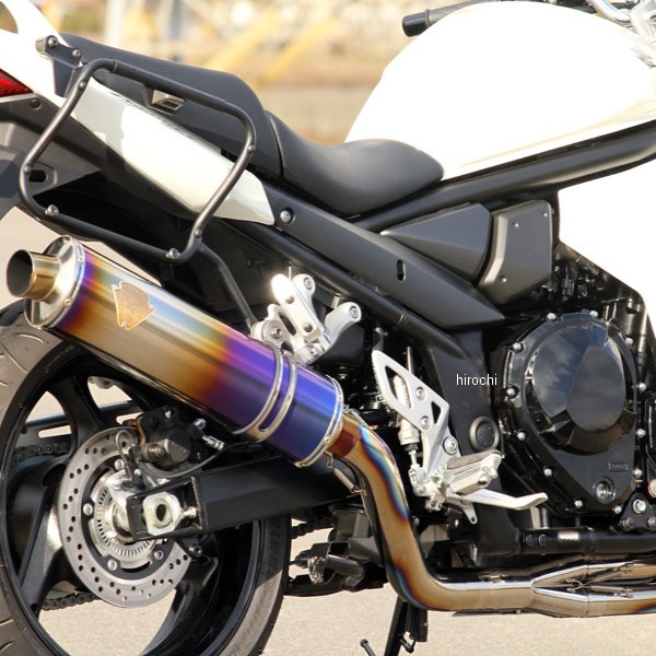 アールズギア r's gear フルエキゾースト ワイバン 07年以降 バンディット BANDIT1250 真円チタン WS09-01TI HD店