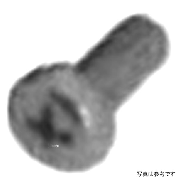 SP武川 トラススクリュー 5X10 低頭 3本 00-00-0538 HD店