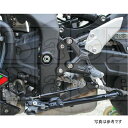 ベビーフェイス BabyFace セットバックプレート 20年-21年 ZX-25R 黒 002-BK004BK HD店