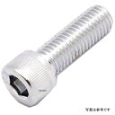【メーカー在庫あり】 ガッツクローム ソケットボルト 1/4-28×3/4 クローム 1本入り DS-190560 HD店