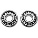 【メーカー在庫あり】 ガッツクローム 5速トランスミッショントラップドアベアリングセット 91年-05年 XL DS-197063 HD店