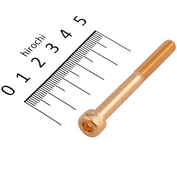 ҥ ϡ졼 ŷԾŹ㤨֡ڥ᡼߸ˤ ݥå POSH ƥ쥹åץܥ 24Kå M6x55 1 811640-055 HDŹפβǤʤ372ߤˤʤޤ