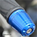アグラス AGRAS バーエンド GSX-S125 シルバー 300-308-000S HD店