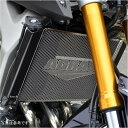 アグラス AGRAS コアガードスクープカバーセット Aタイプ ロゴ有り MT-09 309-273-A01 HD店
