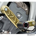 アグラス AGRAS レーシングスライダー サブフレーム φ50 ロゴ無し 16年以前 MT-09 黒 342-273-002B HD店