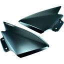 ピラミッドプラスチック Pyramid Plastics インフィルパネル 13年-16年 MT-09 黒 22133M HD店