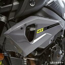 ピラミッドプラスチック Pyramid Plastics スポーツサイドフェアリングパネル 16年-21年 MT-10 グレー 22141D HD店