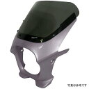 ワールドウォーク 汎用ビキニカウル AERO グレーメタリック3/スモーク ds-01aero-13 HD店