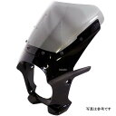 ワールドウォーク 汎用ビキニカウル AERO ソリッドブラック/スモーク ds-01aero-23 HD店