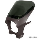 ワールドウォーク 汎用ビキニカウル AERO ギャラクシーシルバーメタリック/スモーク ds-01aero-24 HD店