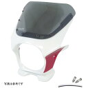ワールドウォーク ビキニカウル タイプR 二色塗装 スモーク ds-01-2 HD店