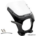 ワールドウォーク 汎用ビキニカウル キャンディサンダーブルー/クリア ds-01aero-k13 HD店