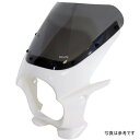 ワールドウォーク 汎用ビキニカウル AERO グラススプラッシュホワイト/クリア ds-01aero-25 HD店