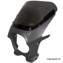 ワールドウォーク 汎用ビキニカウル AERO アーバンミディアムグレーメタリック/クリア ds-01aero-26 HD店