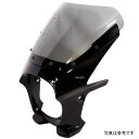ワールドウォーク 汎用ビキニカウル AERO グラファイトブラック/クリア ds-01aero-28 HD店