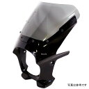 ワールドウォーク 汎用ビキニカウル AERO ミュートブラックメタリック/クリア ds-01aero-34 HD店