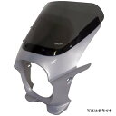 ワールドウォーク 汎用ビキニカウル AERO デジタルシルバーメタリック/クリア ds-01aero-45 HD店