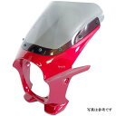 ワールドウォーク 汎用ビキニカウル AERO パッションレッド/クリア ds-01aero-49 HD店