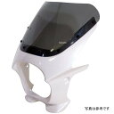 ワールドウォーク 汎用ビキニカウル AERO パールクリスタルホワイト/クリア ds-01aero-h4 HD店