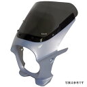 ワールドウォーク 汎用ビキニカウル AERO ムーンライトシルバー/クリア ds-01aero-k2 HD店