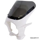 ワールドウォーク 汎用ビキニカウルR ブルーイッシュホワイトカクテル/クリア ds-01r-15 HD店