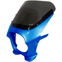 ワールドウォーク 汎用ビキニカウル AERO キャンディプラズマブルー/クリア ds-01aero-k9 HD店