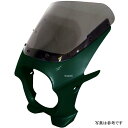 ワールドウォーク 汎用ビキニカウル AERO ミストグリーンメタリック/クリア ds-01aero-s3 HD店