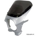 ワールドウォーク 汎用ビキニカウル AERO シルバー1/クリア ds-01aero-y6 HD店