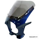 ワールドウォーク 汎用ビキニカウル AERO パールスペンサーブルー/クリア ds-01aero-h13 HD店